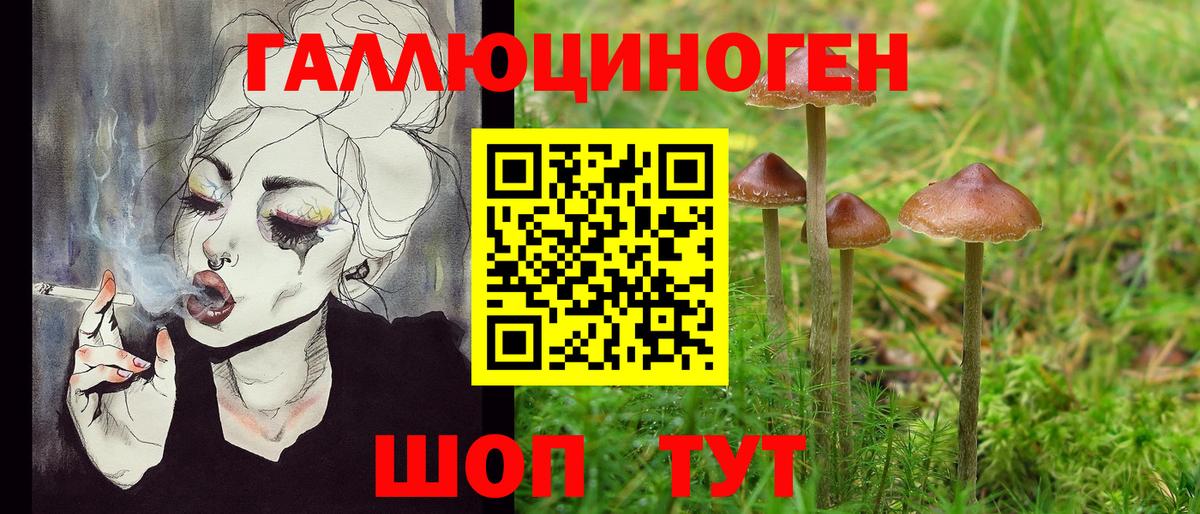 Псилоцибиновые грибы мухоморы Красноармейск