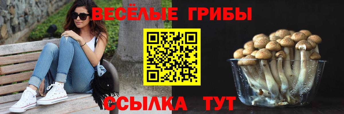 Красноармейск  цены наркотик  Вход с VPN  Галлюциногенные грибы Psilocybe 